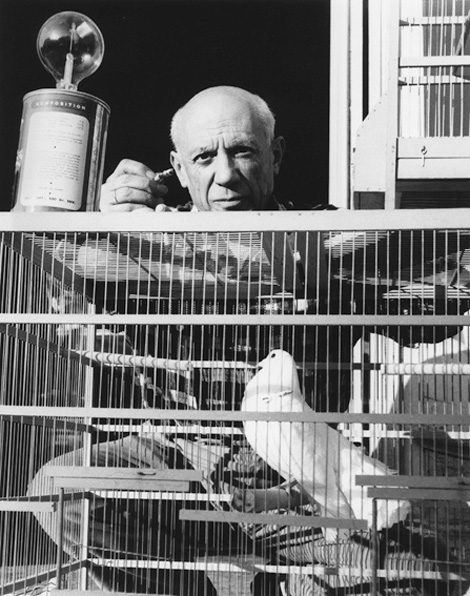 Пикассо и голуби, Канны, 1955. Фото, Люсьен Клерг